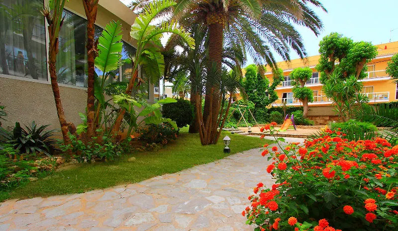 Hotel Bg Java Playa de Palma