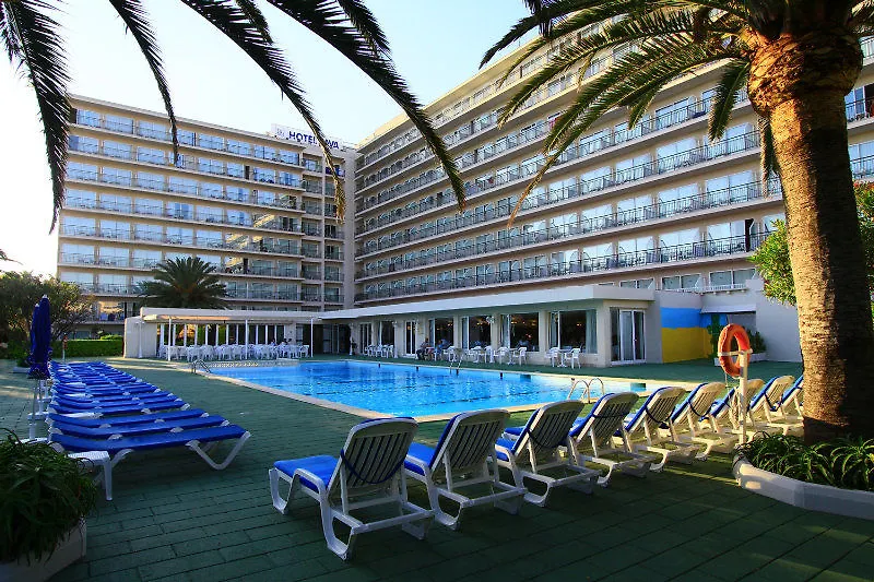 **** Szálloda Bg Java Playa de Palma Spanyolország